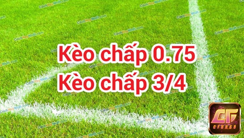 kèo 0.5 1