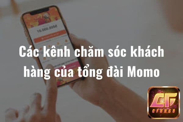 Các kênh Cskh momo hiện nay