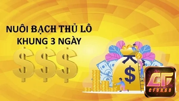 Nuôi bạch thủ khung 3 ngày để dễ thắng