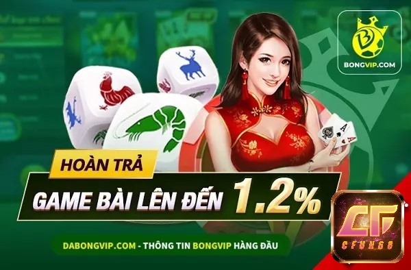 Bongvip là nhà cái uy tín hàng đầu Châu Á