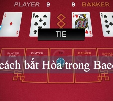 Cách bắt hoà trong Baccarat với hiệu quả, tỷ lệ trúng cao nhất