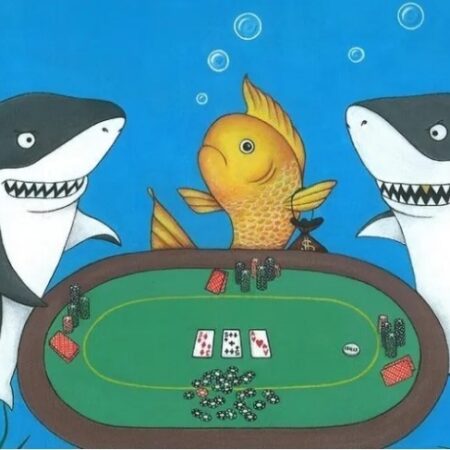 Fish trong Poker – 5 cách giúp game thủ nhận dạng fish