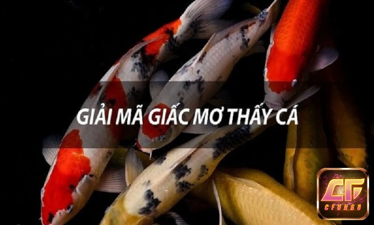 Cách giải mã giấc mơ của bạn nằm thấy cá