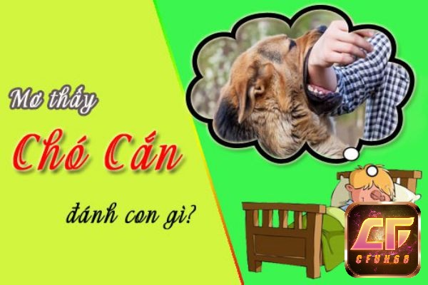 Giải mã giấc mơ bị chó cắn đánh số gì may mắn