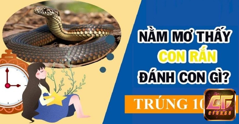 Giải mã giấc mơ thấy rắn đánh số gì cho hiệu quả