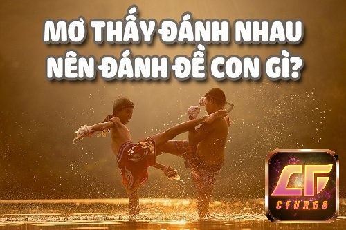 Mơ thấy đánh nhau thì đánh con gì may mắn, trúng liền tay