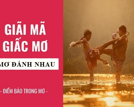 Giải mã giấc mơ thấy đánh nhau đánh con gì, điềm lành hay dữ