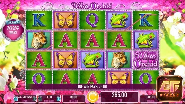 White Orchid slot có đồ hoạ bắt mắt với nhiều màu sắc rực rỡ như một vườn hoa