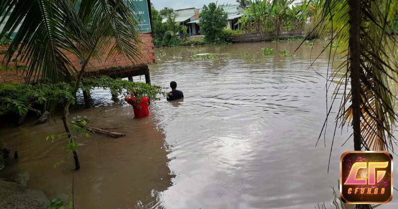 Mơ thấy vớt người thân biểu thị cho tình yêu và sự chăm sóc